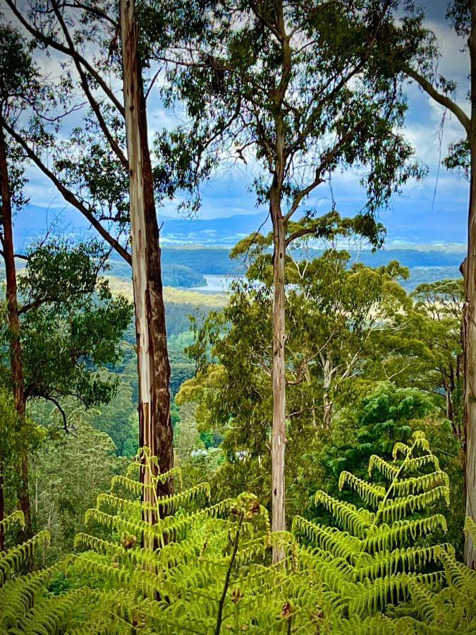 Melbourne Topview Villa In Dandenong Ranges Near Skyhigh Kalorama Екстер'єр фото