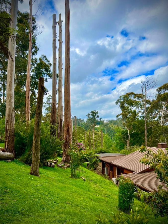 Melbourne Topview Villa In Dandenong Ranges Near Skyhigh Kalorama Екстер'єр фото