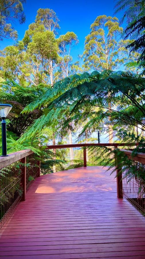 Melbourne Topview Villa In Dandenong Ranges Near Skyhigh Kalorama Екстер'єр фото