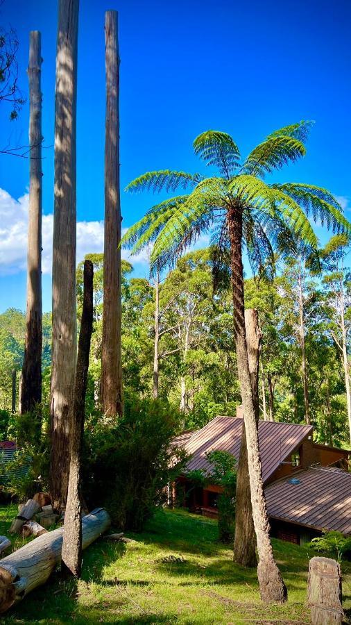 Melbourne Topview Villa In Dandenong Ranges Near Skyhigh Kalorama Екстер'єр фото