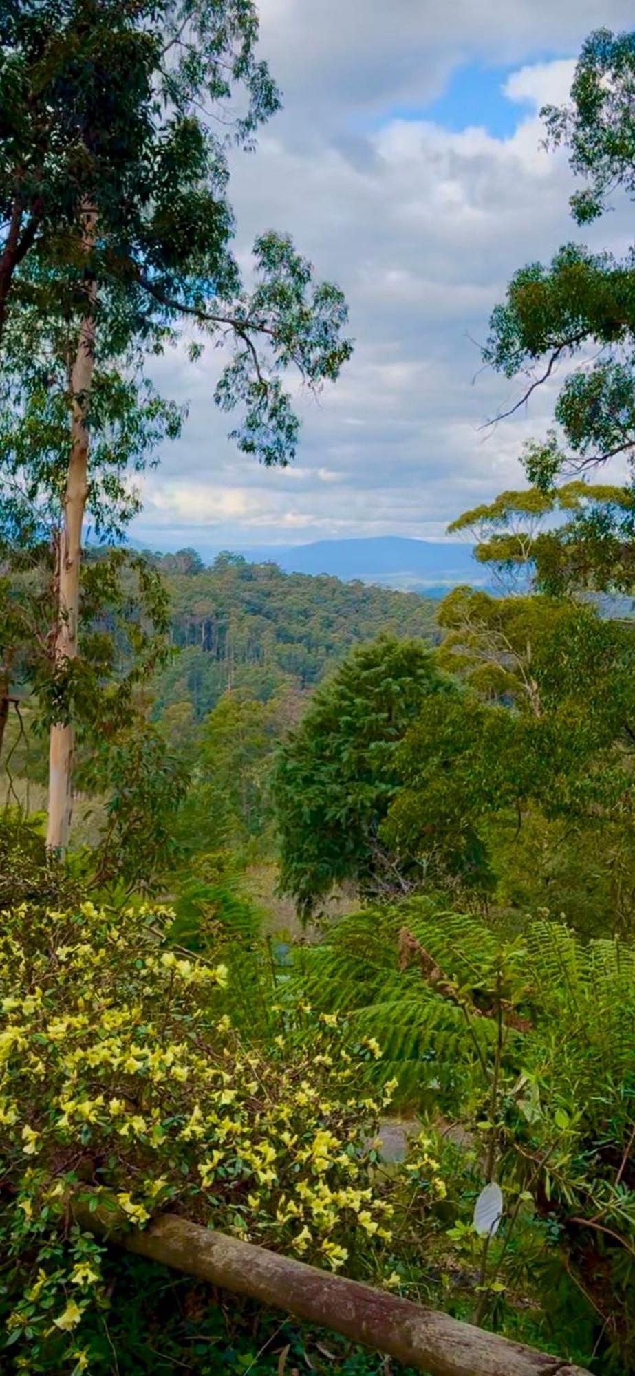 Melbourne Topview Villa In Dandenong Ranges Near Skyhigh Kalorama Екстер'єр фото