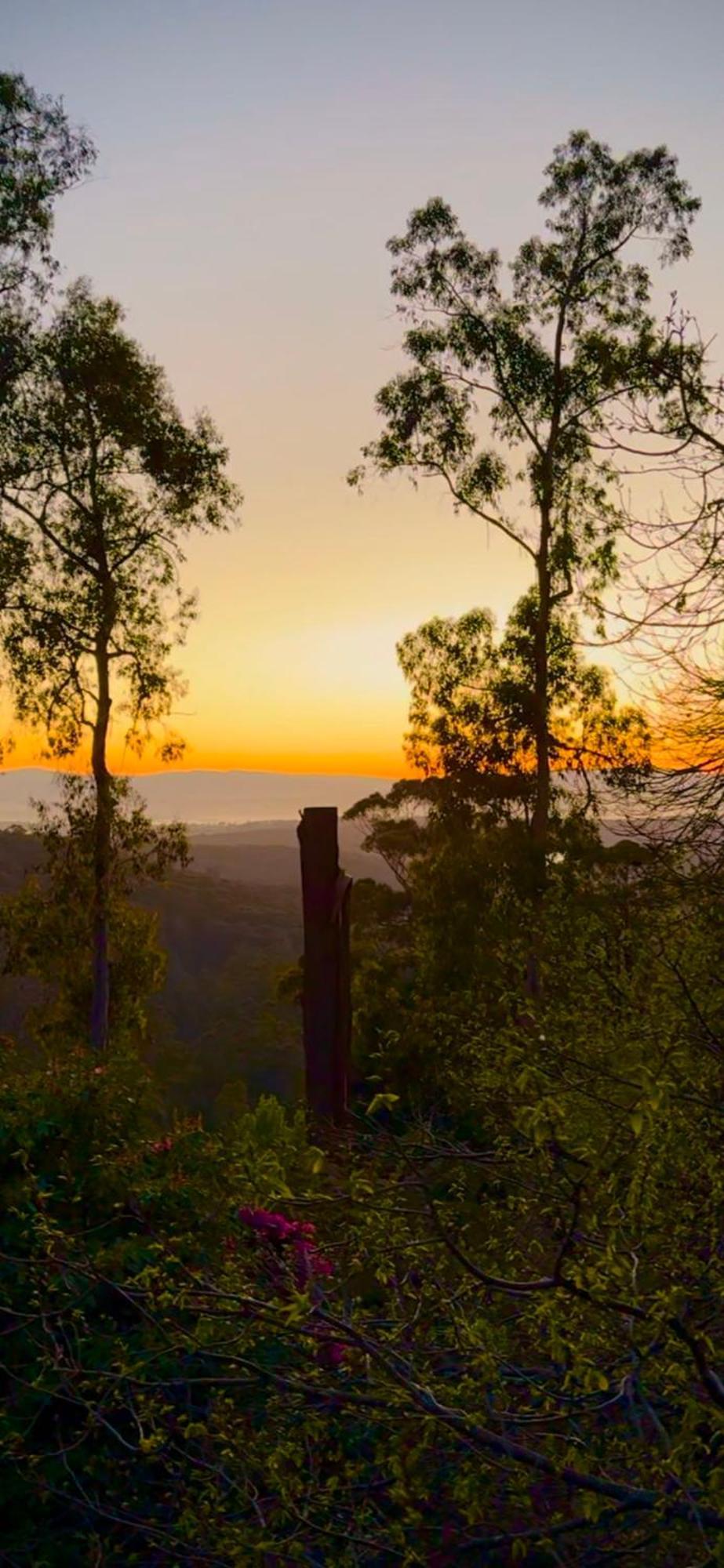 Melbourne Topview Villa In Dandenong Ranges Near Skyhigh Kalorama Екстер'єр фото
