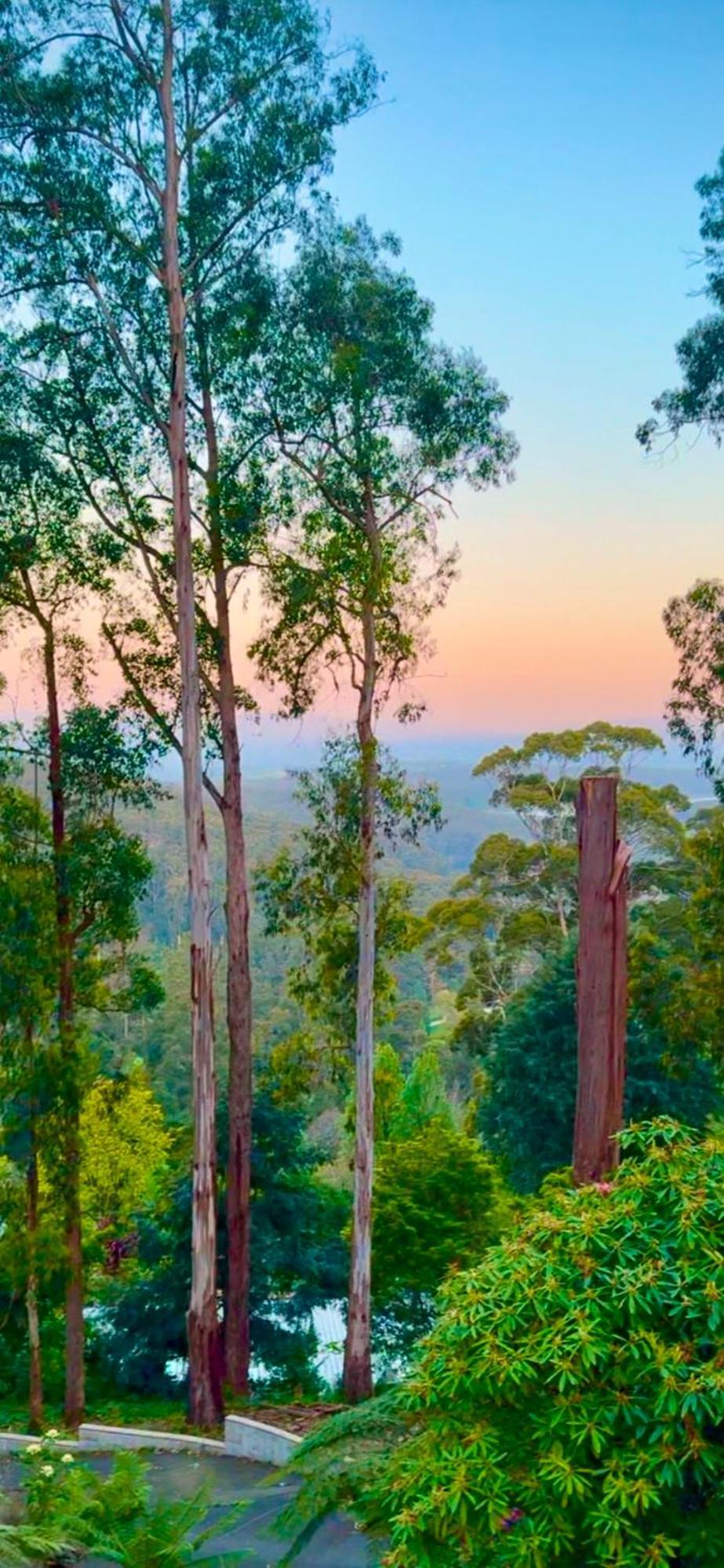 Melbourne Topview Villa In Dandenong Ranges Near Skyhigh Kalorama Екстер'єр фото